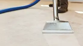 Carpet cleaning wand head gliding over a light carpet during hot-water extraction, Tuscaloosa, AL.
