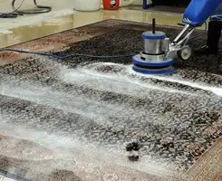 Professional rug cleaning with a rotary floor machine and shampoo foam, deep-cleaning an area rug, in Tuscaloosa, AL.