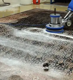 Professional rug cleaning with a rotary floor machine and shampoo foam, deep-cleaning an area rug Tuscaloosa, AL.